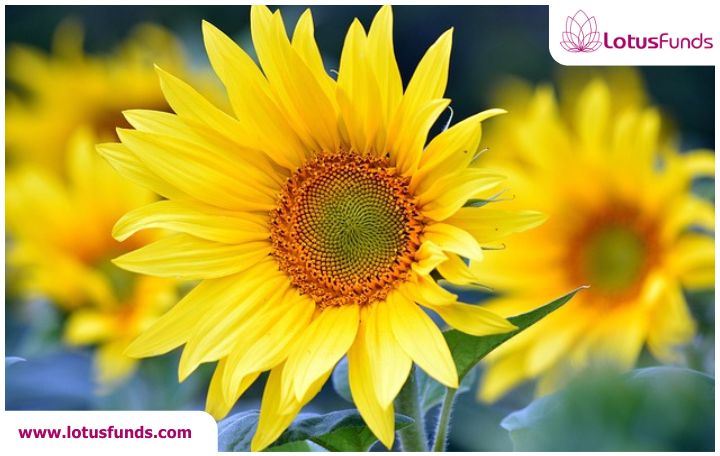 Blog image: The Week Ahead @ 4 PM, Sunday, August 10th 2025
